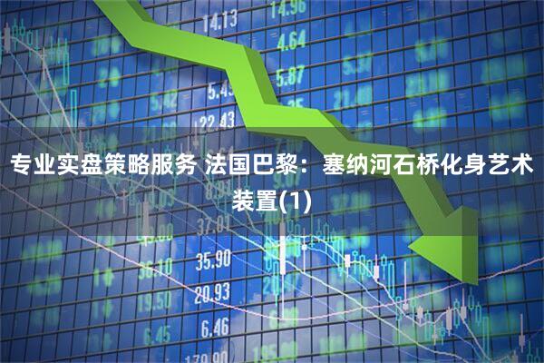 专业实盘策略服务 法国巴黎：塞纳河石桥化身艺术装置(1)